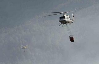 İspanya’daki orman yangınında 4 bin hektardan...