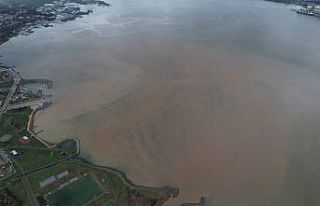 İzmit Körfezi kahverengiye büründü