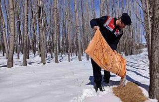 Jandarma doğaya yem bıraktı