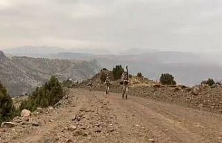 Jandarma komandolardan bahar operasyonu