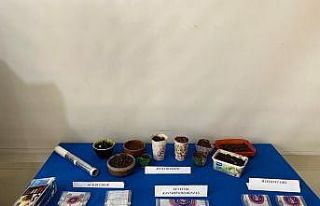 Jandarma ve Polisten Ortak Uyuşturucu Operasyonu