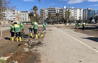 Kaldırımlarda ince temizlik yapılıyor