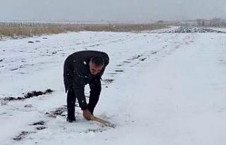 Kar çiftçiyi sevindirdi
