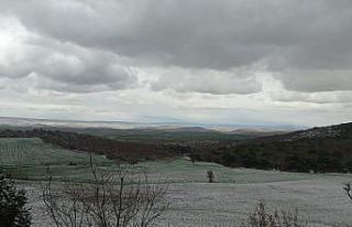 Kar yağışı doğada güzel görüntüler oluşturdu