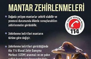 Karacasu’da türü bilinmeyen mantarların satışı...