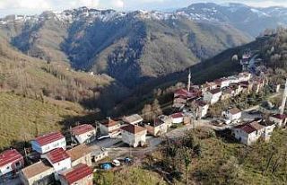 Karadeniz fıkrası gibi mahalle: Komşular 2 dakika...