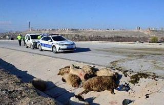 Karaman’da iki motosiklet koyun sürüsüne çarptı:...