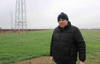 Karaman’da yağmur yağışı üreticiyi sevindirdi