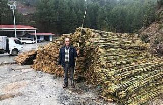 Kargılar sezona hazır