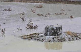 Kars’ta peynir altı sularının oluşturduğu gölet...