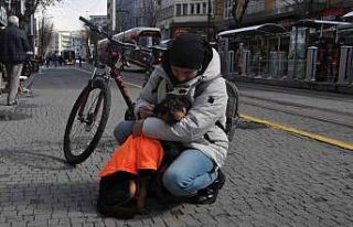 Kayıp köpeğe duyarlı vatandaş sahip çıktı