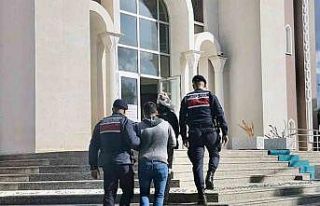 Kiralık araçla hırsızlık yaptılar, tutuklandılar