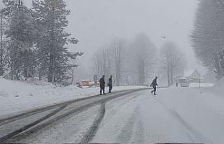 Kocayayla geçidi, yoğun kar yağışı nedeniyle...