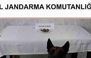 ‘Kont’ destekli uyuşturucu denetimi