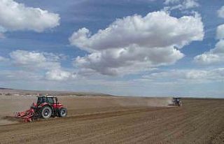 Konya Büyükşehir 800 bin metrekarelik araziye aspir...