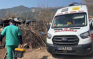 Konya Büyükşehir Hatay’daki üreticilerin hayvanlarına...