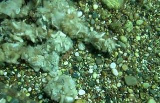 Konyaaltı’nda denizin dibinde yakışmayan görüntüler