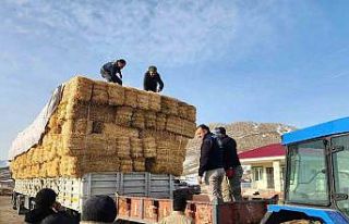 Konyaaltı’ndan deprem bölgesine yem ve saman desteği