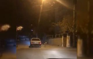Köpeği otomobilin kapısına bağlayıp koşturdu