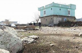 Köyleri istila eden tırtıl ile ilgili çalışmalar...