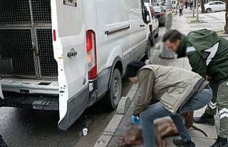 Küçük çocuğa saldıran pitpull cinsi köpeğin...