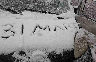 Kulp, Mart ayının son gününde beyaza büründü