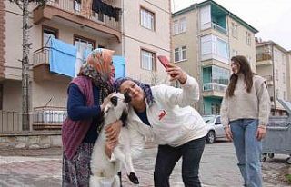 Kuzusu şehrin maskotu oldu