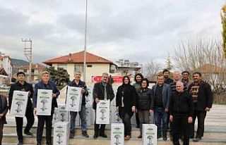 Mantar üreticilerine ışıklı tuzak desteği