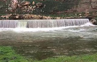 Mardin’de şiddetli yağış sonrası Karasu Çayı...