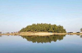 Marmara Gölü kurudu göçmen kuşlar rotayı Sülüklü...