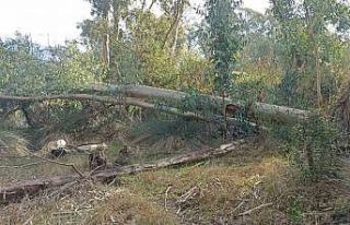 Marmaris Belediyesi’nden “Hisarönü Piknik Alanı...