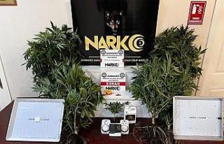 Marmaris’te evinde uyuşturucu yetiştiren şahıs...