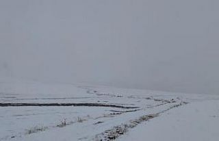 Mart ayında yağan kar çiftçiyi sevindirdi