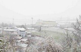 Mart kapıdan baktırdı: Kavak beyaza büründü