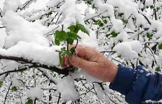 Mart karı fındık üreticisini endişelendirdi
