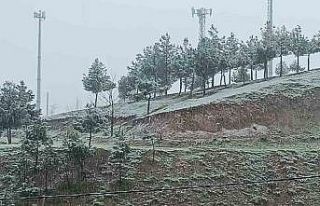 Mart sonu Diyarbakır’a kar yağdı