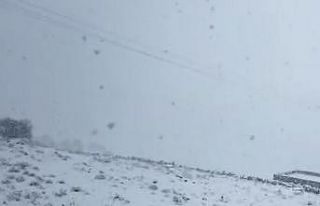 Mazıdağı beyaz örtüye büründü