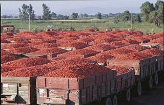 Merko Gıda konsolide satışlarını yüzde 507 artırdı