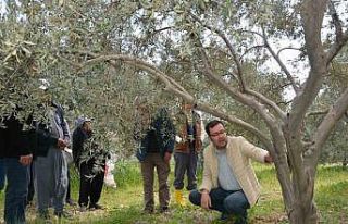 Mersin’de doğru tarımsal üretim için teorik...