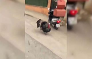 Motosikletine binmek isteyen kuryeye hindi engeli