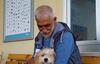 Muğla’da çalınan köpek, çipi sayesinde Elazığ’da...