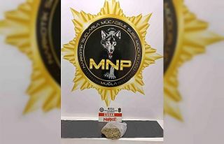 Muğla’da uyuşturucu operasyonlarında 12 tutuklama