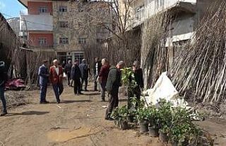 Muş’ta fidan satışları başladı