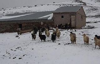 Muş’ta kar yağışı