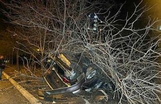 Nevşehir’de kontrolden çıkan araç ağaca çarptı:...