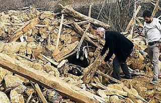 Nurhak’ta 637 saat sonra enkazdan 2 keçi canlı...