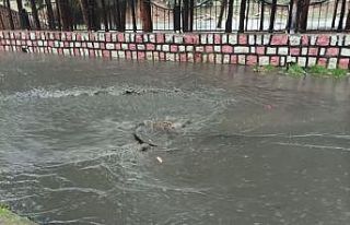 Nusaybin’de belediyenin çalışmaları yetersiz...