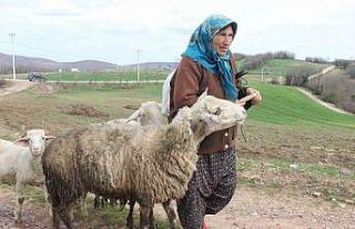 O dağların 60’lık Heidi’si