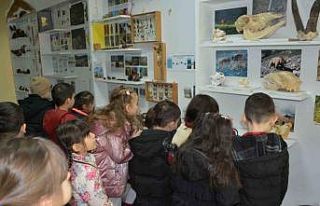 Öğrenciler doldurulmuş hayvan müzesini inceledi