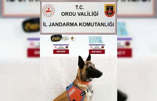 Ordu’da jandarma ekiplerinden uyuşturucu ve kaçak...